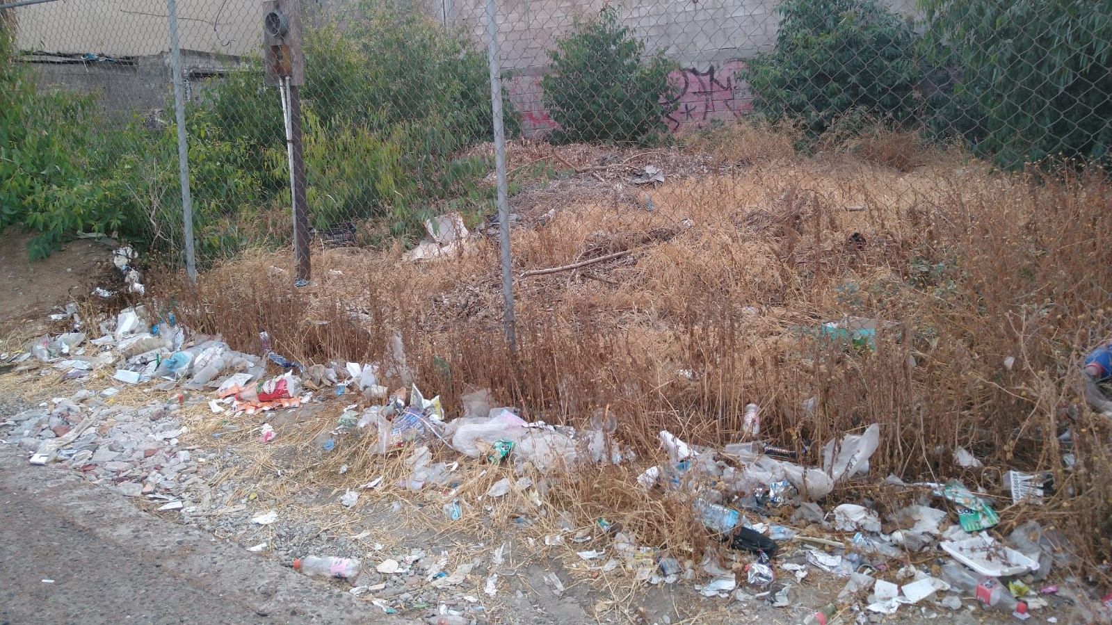 Basura En La Ciudad Es Por Falta De Educaci N Ambiental