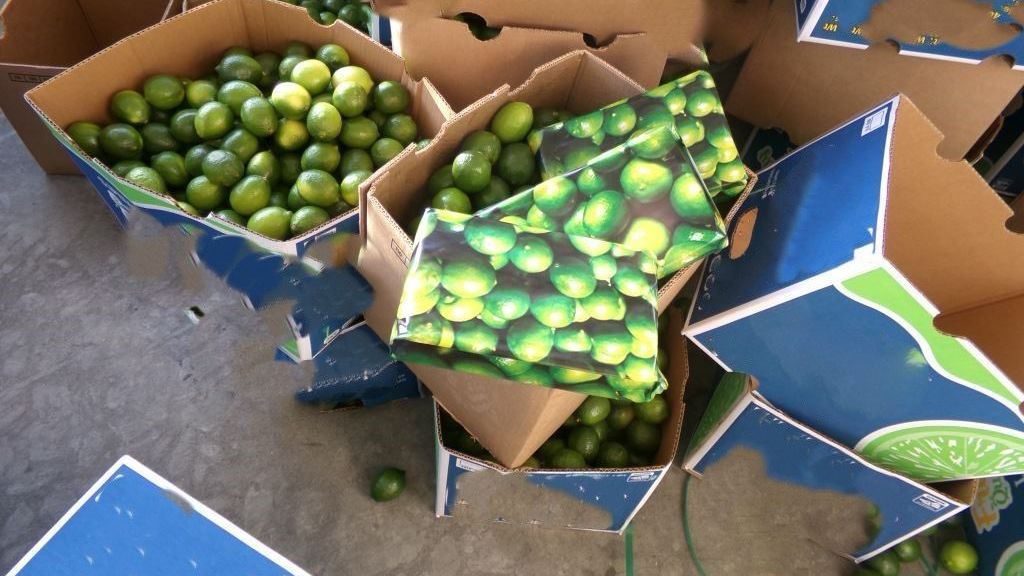 Decomisan Un Cargamento De Limones Con Coca Na En La Garita De Otay