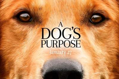 PETA convoca a boicotear la película A Dog’s Purpose 