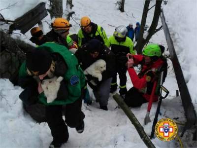 Rescatan con vida a 3 perros del hotel sepultado en Italia