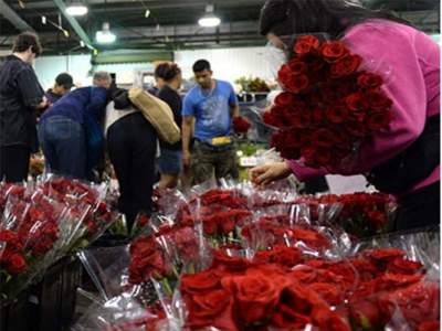 San Valentín 'dispara' la producción de rosas en nuestro país