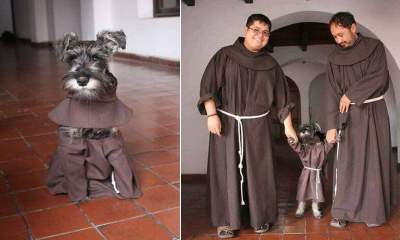 Conoce a 'Fray Bigotón', el perrito que adoptaron en un monasterio