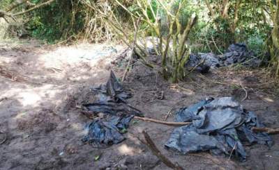 Hallan 47 cráneos en fosa ilegal de Alvarado, Veracruz
