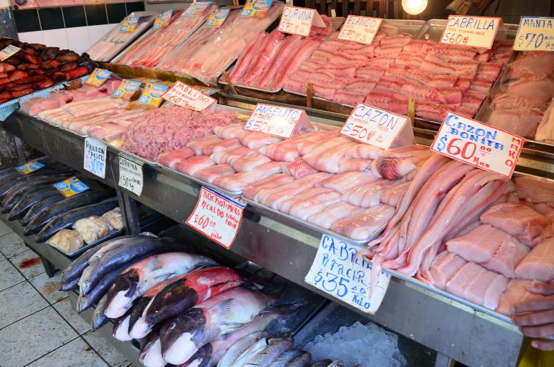 El puerto de Ensenada listo con abasto de pescado y mariscos