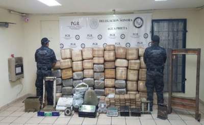 PGR asegura 600 kilos de marihuana en Sonora|