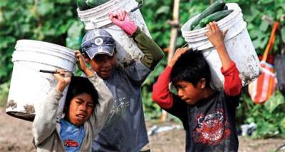 Firman acuerdo contra el trabajo infantil: STPS y "Por lo derecho"
