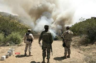 Destruye Ejército 5 plantíos y 20 kilos de marihuana en Ensenada 