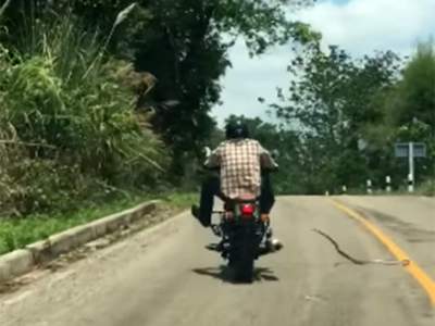 Serpiente ataca a motociclista que conducía por carretera