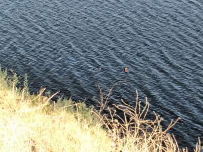 Cae vehículo al vaso de la presa en Carretera a Tecate