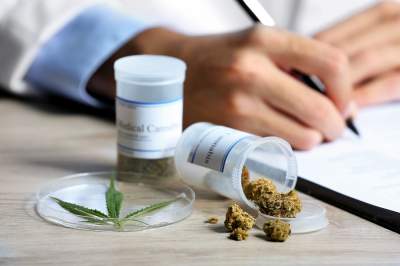  IMSS analizará eficacia medicinal de la marihuana