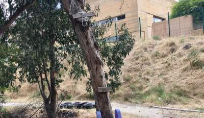 Jovencita se suicida colgándose de un árbol en el Parque Morelos