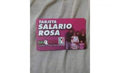 Mujeres mexiquenses, emocionadas por reparto de "tarjeta rosa"