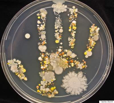 Nuestras manos trasladan más de 100 bacterias diarias