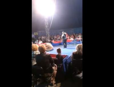  ¡Aterrador! Oso ataca al público de un circo en Ucrania