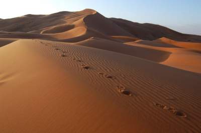 Mueren de sed 44 migrantes al cruzar el desierto del Sahara