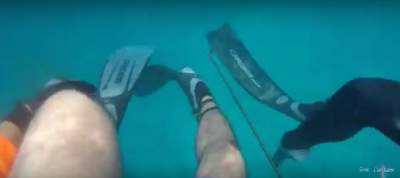 En Florida un pescador es atacado por un tiburón