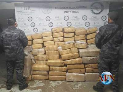 Confisca PGR más de 600 kilos de marihuana en domicilio de Tijuana