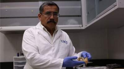 El médico mexicano que rehidrata a los muertos para identificarlos