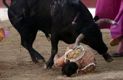 Muere torero Iván Fandiño tras sufrir cornada