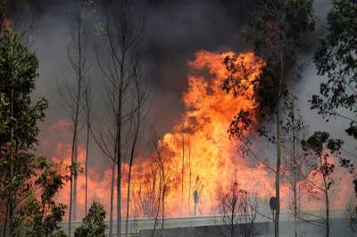 Infierno en Portugal, uno de los peores incendios de la historia