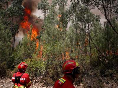 Suman 64 muertos por incendio en Portugal