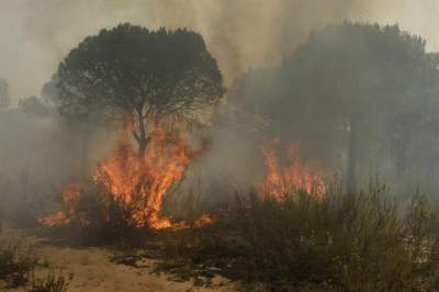  España combate incendio que amenaza reserva ecológica