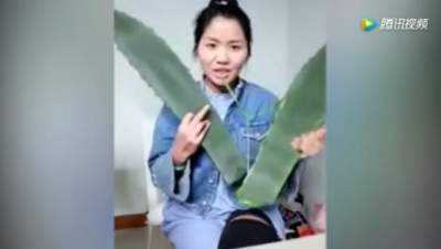 Bloguera china confunde aloe vera con planta tóxica y termina en el ho