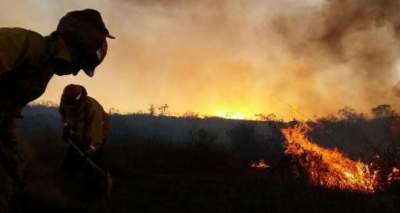 Incendio en Sierra de Juárez alcanza zona arbolada 