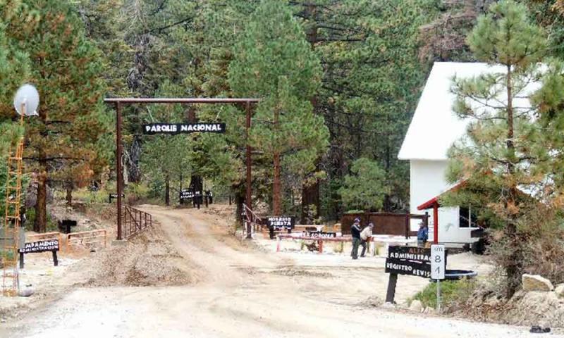 nike m2k tekno phantom