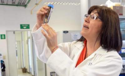 Estudian en la UNAM bacterias que degradan hidrocarburos