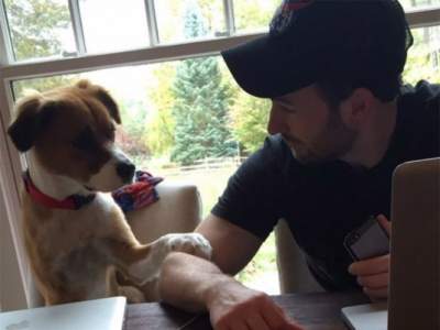 El Capitán América y el tierno reencuentro con su perro