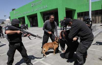 EU entrega a México 25 perros para reforzar seguridad