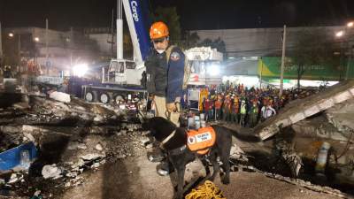Bomberos de Tijuana localizaron cuerpos de 2 víctimas del sismo 