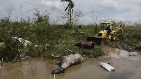 México enviará ayuda a Puerto Rico por huracán "María"