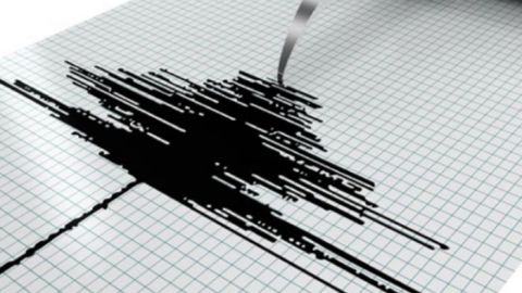 Se registra sismo de 4.8 de magnitud en Guerrero
