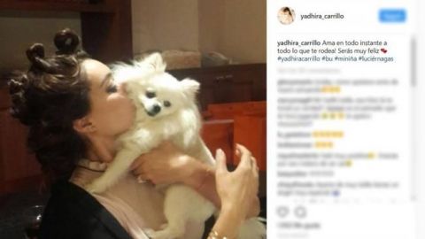 Yadhira Carrillo rompe en llanto por muerte de su perro