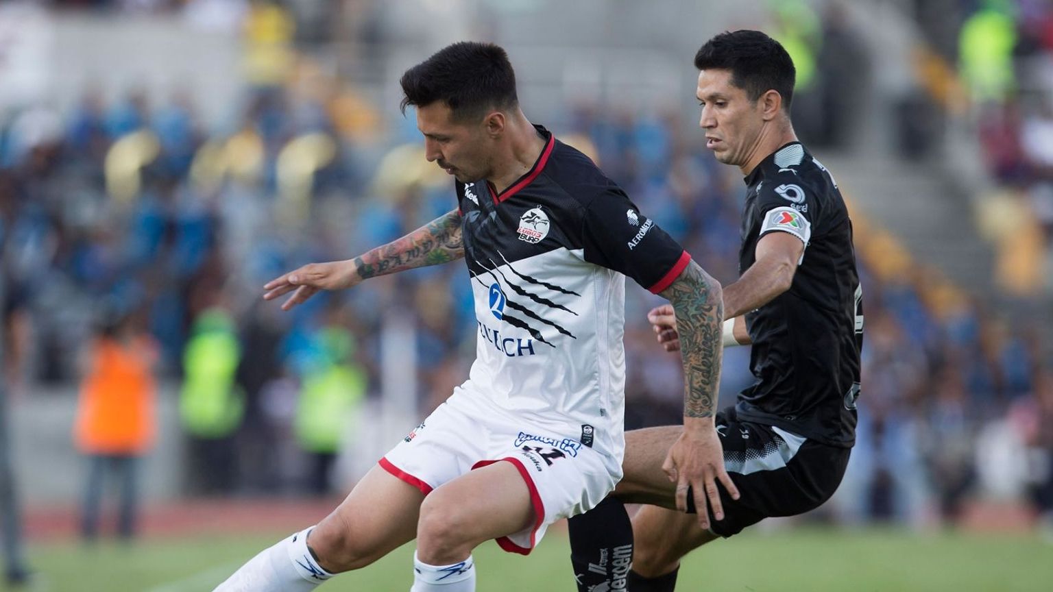 Siete equipos pelean por cinco boletos a Liguilla