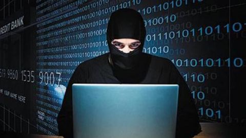 Policía Federal desactiva 17 mil páginas web "piratas"