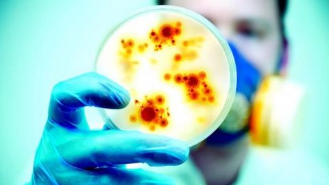 Bacterias, nueva amenaza mortal