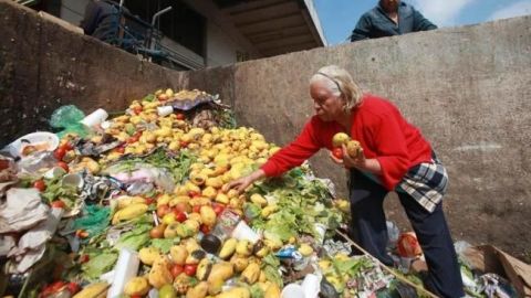 Mexicanos desperdician 20,4 millones de toneladas de alimentos al año