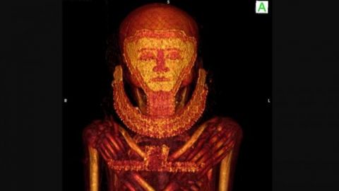 Identifican cáncer de mama en momias de Egipto