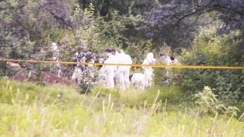 Suman 29 cadáveres encontrados en fosas de Nayarit