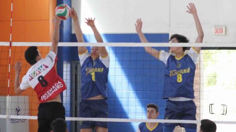 Cierra voleibol de sala varonil con tres títulos para Tijuana