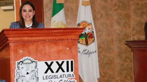 Propone diputada Patricia Ríos crear fiscalía para investigar casos de violencia