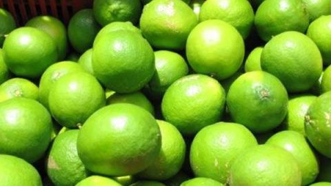 Precio del limón aumenta casi 50% en marzo: Inegi