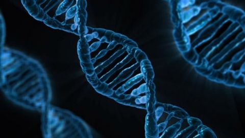 PGR toma 524 muestras de ADN en 12 estados