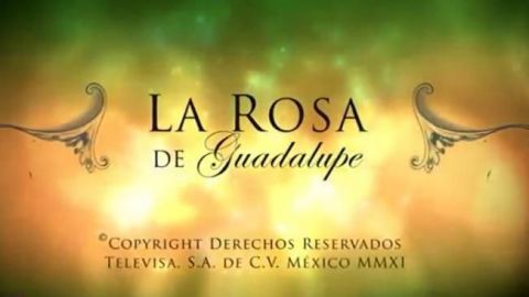 "La Rosa de Guadalupe", lo que más ven niños en TV: estudio de IFT