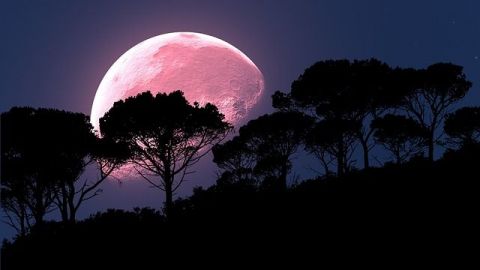Una "Luna Rosa" adornará el cielo esta noche