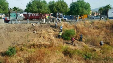 Participa comunidad en limpieza del Río Tecate