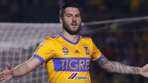 Gignac seguirá jugando en Tigres: Miguel Garza